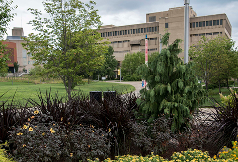 Northern Kentucky University, Salmon P. Chase College of Law