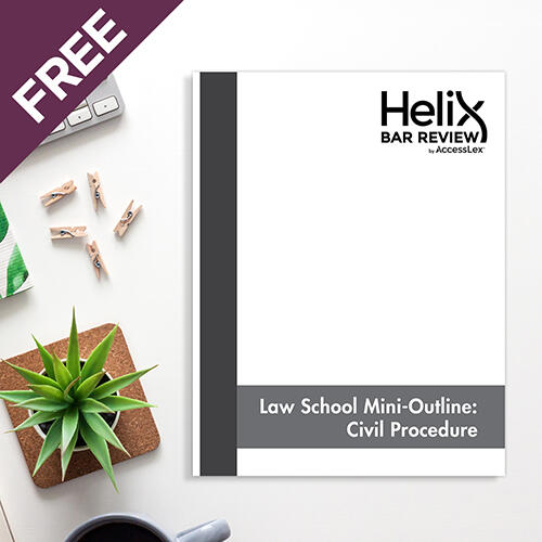 Law School Mini-Outlines