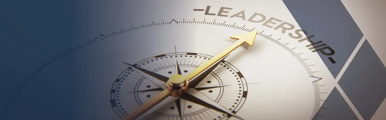 Leadership compass