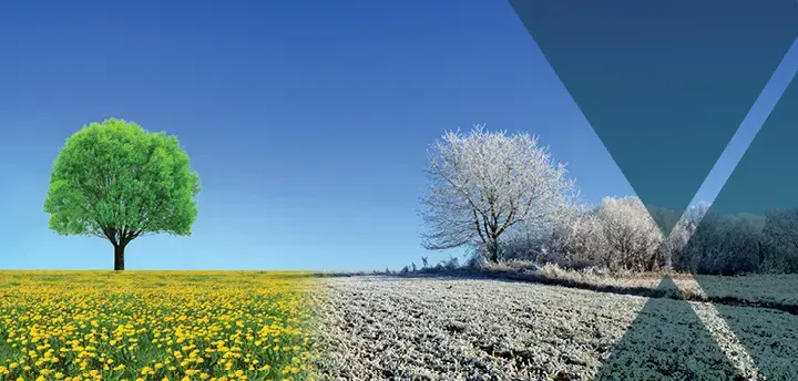 Tree and field covered in snow on one side and tree and field with green grass and flowers on the other side 
